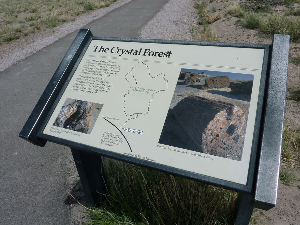Crystal forest FP (1).JPG